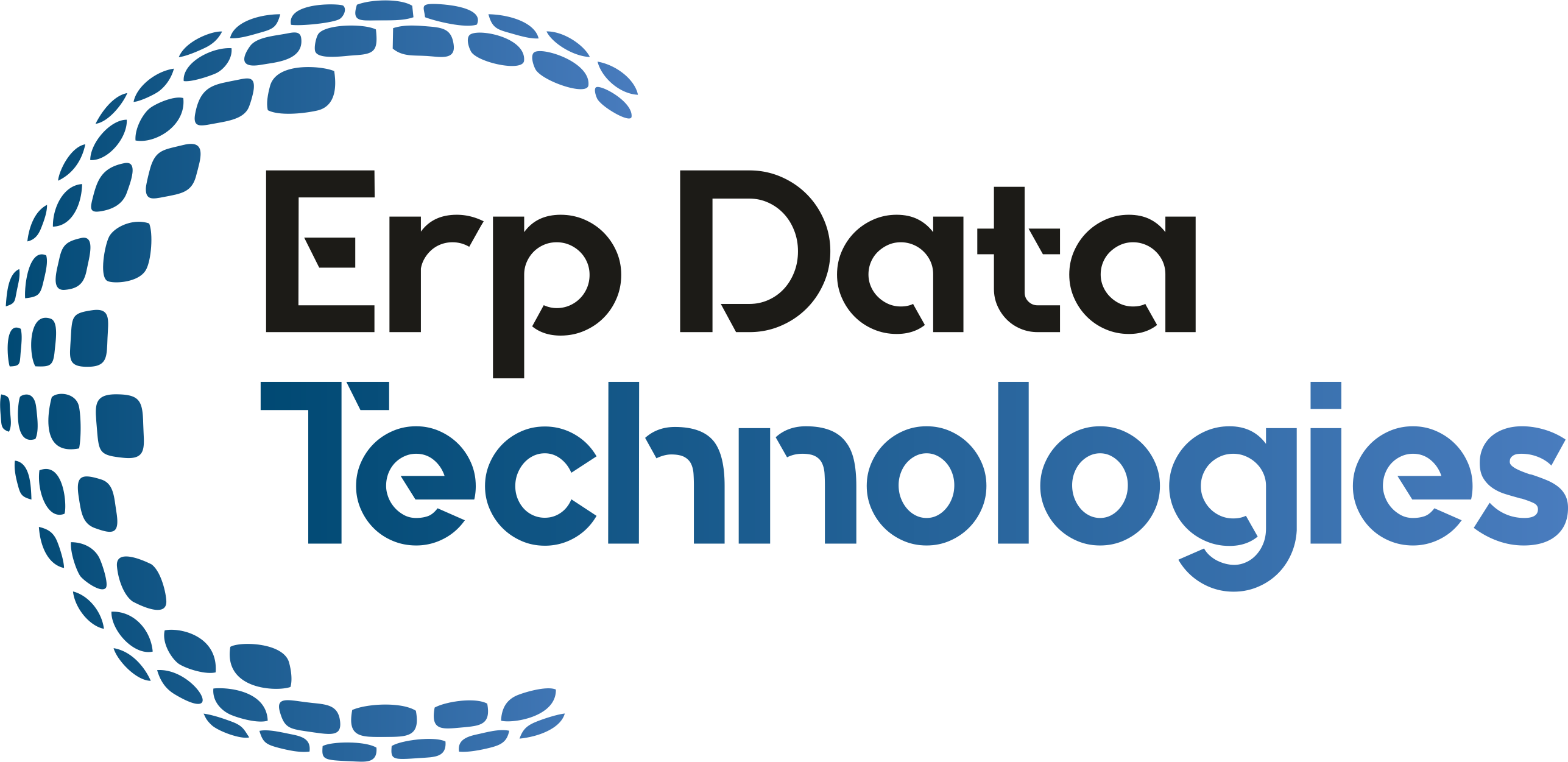 ERP Data Technologies